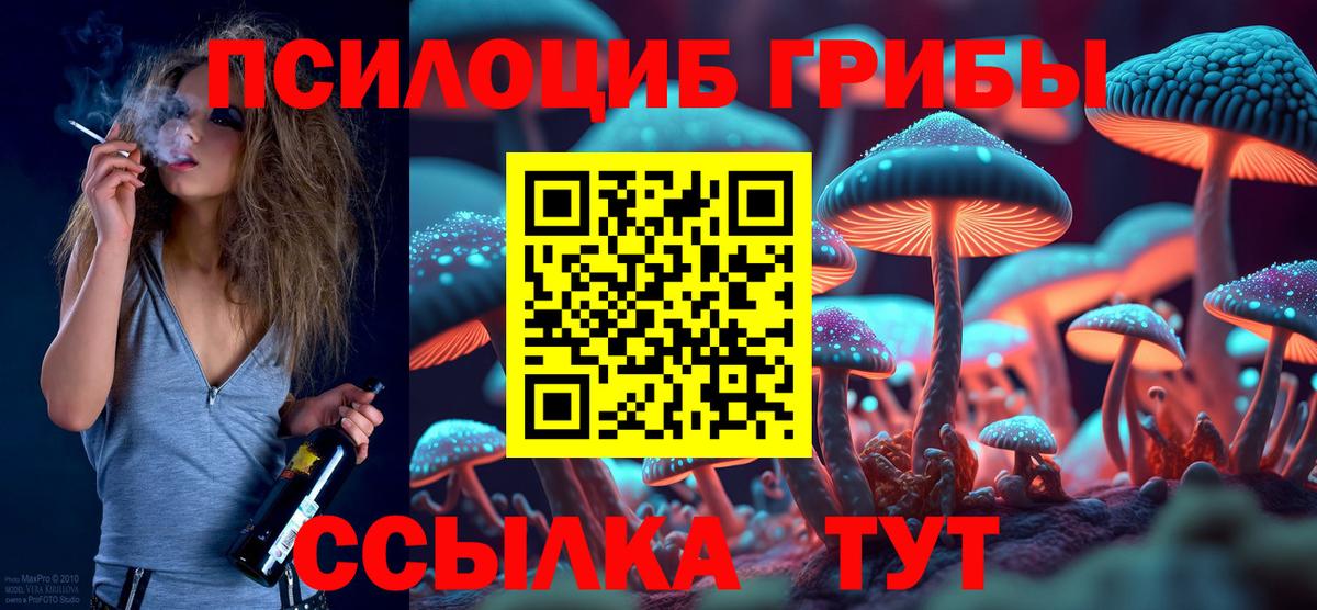 Ростов-на-Дону  Псилоцибиновые грибы MAGIC MUSHROOMS  как найти закладки  Вход с VPN 