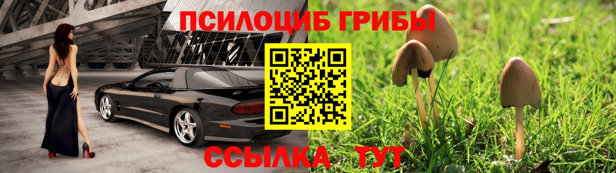 Галлюциногенные грибы GOLDEN TEACHER Ростов-на-Дону