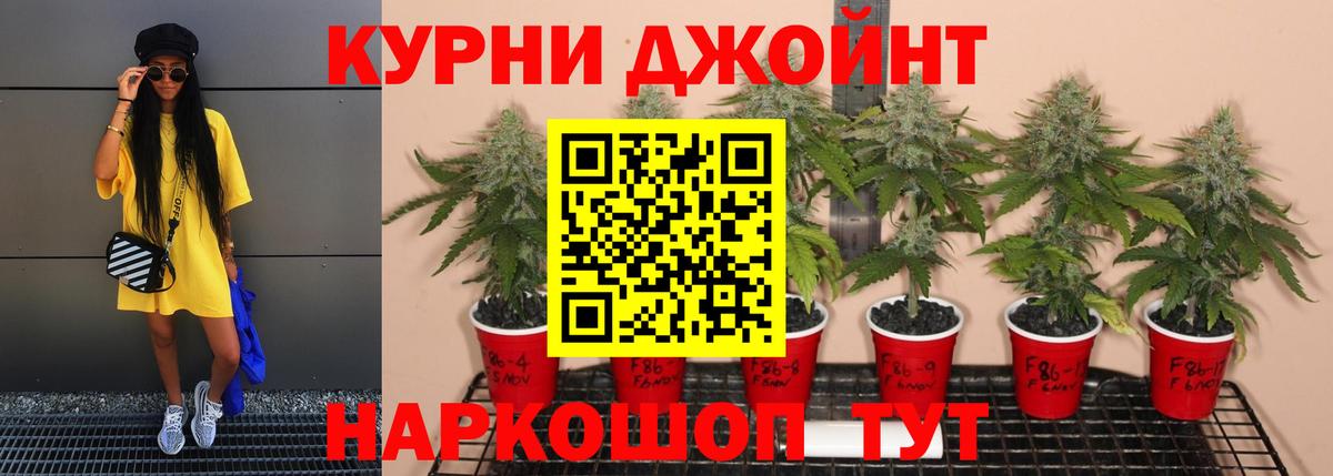 Шишки марихуана Bruce Banner  Марихуана планчик  Вход с VPN  Бошки марихуана тримм  Ростов-на-Дону  Каннабис марихуана 